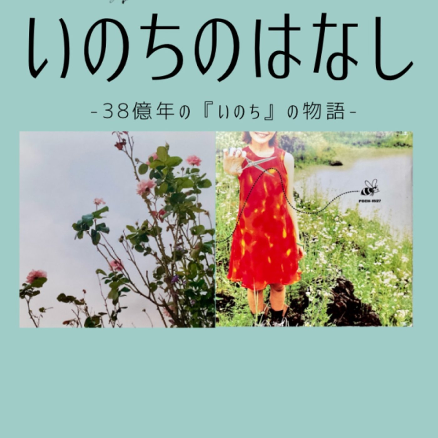 【カウンセリング・ラジオ】いのちのはなし。