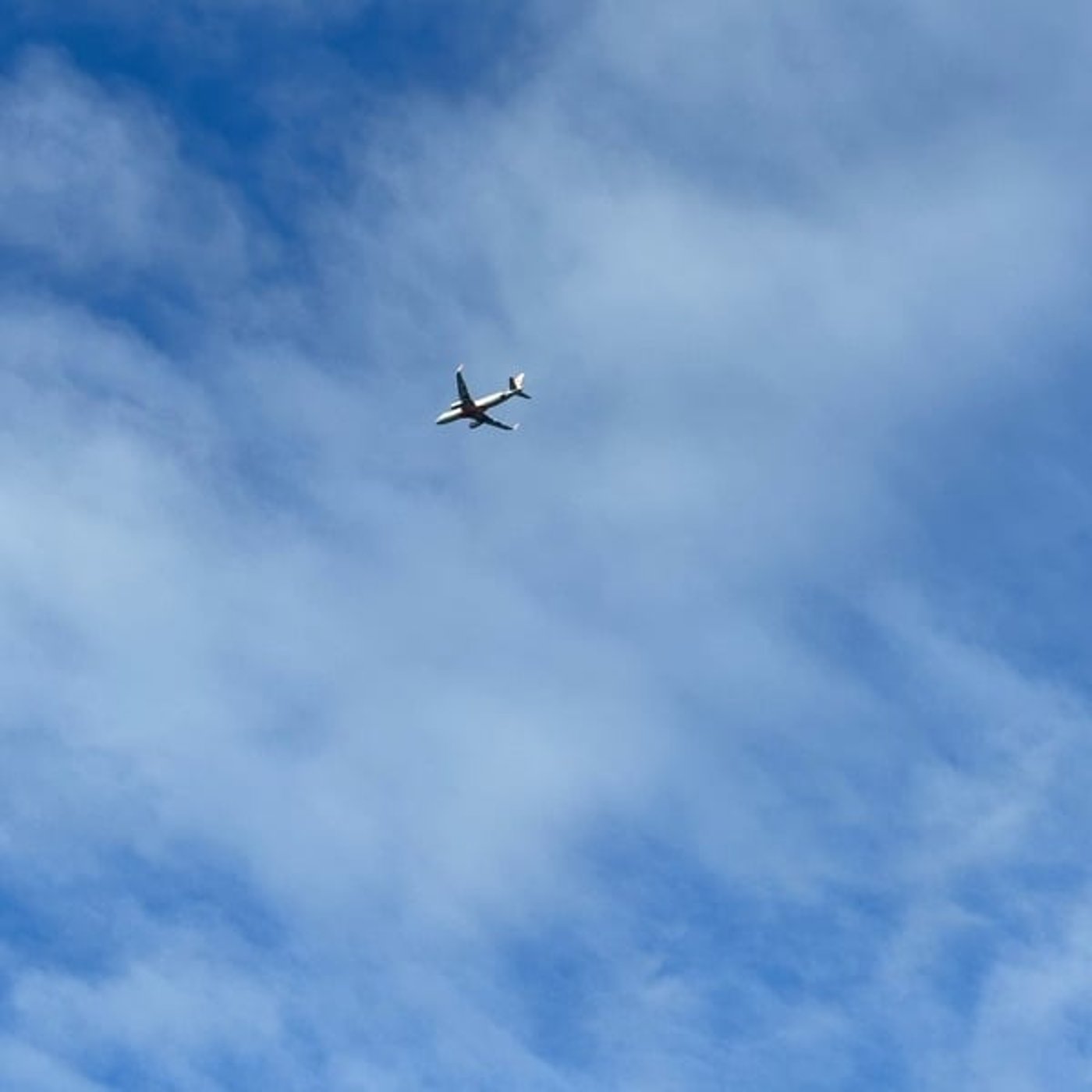 毎年の心臓検査に行ってきました 毎年の心臓検査に行ってきました