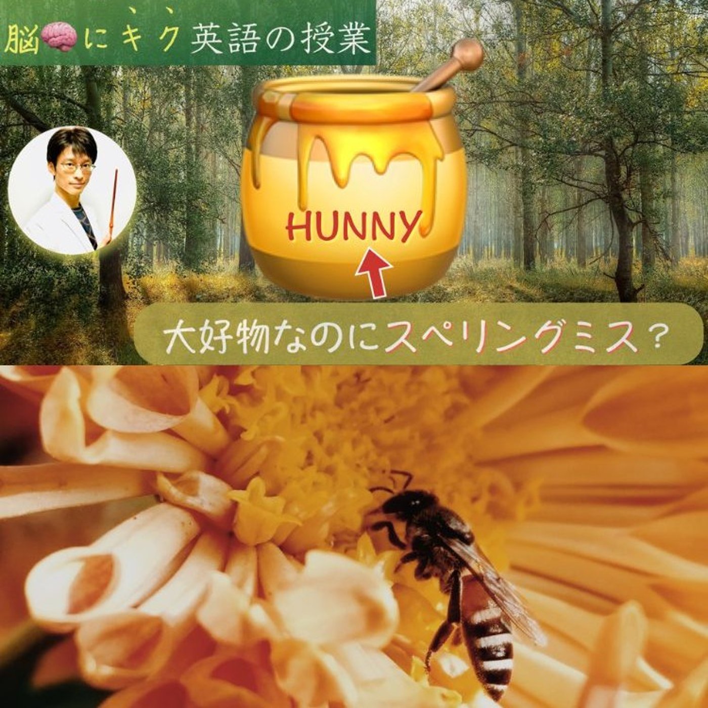プーさんのハチミツはなぜ HUNNYなのか？｜【ガリレオ流】脳に「キク」英 episode artwork