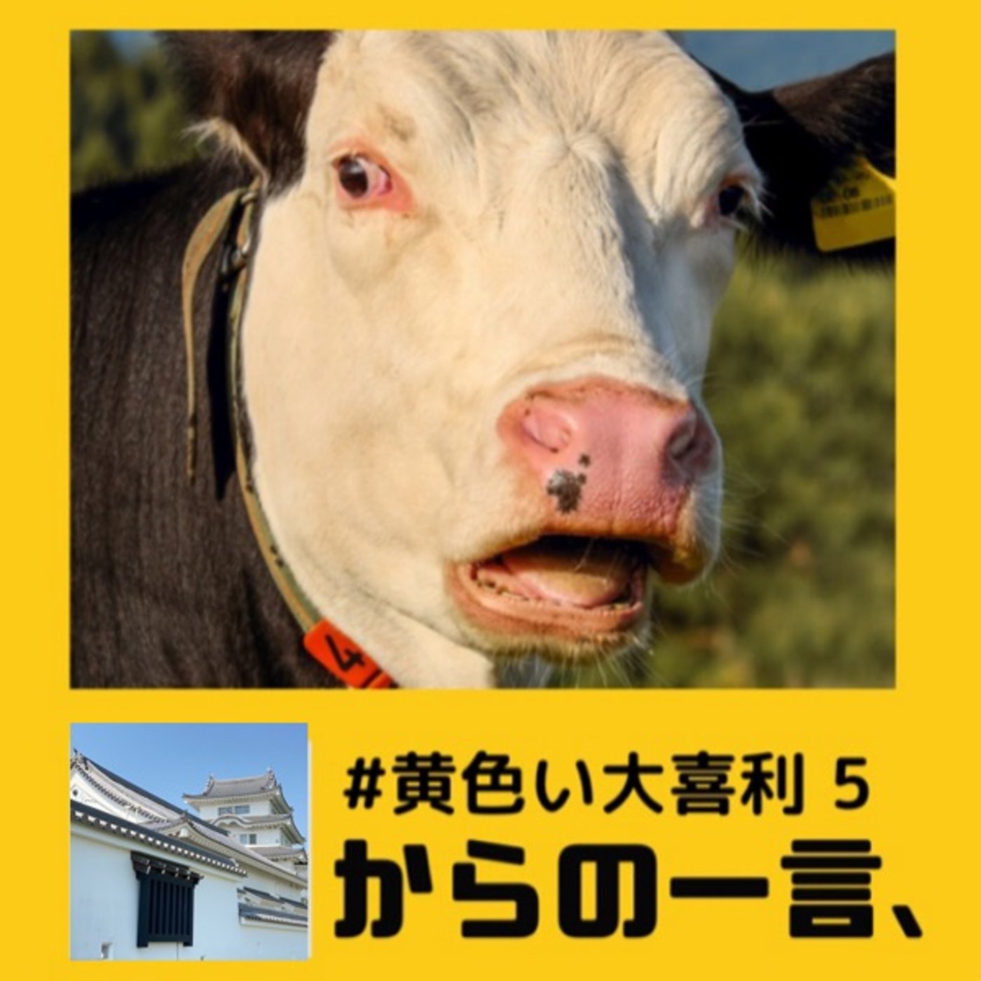 #黄色い大喜利10🏯活字で表現できないの🤣 episode artwork