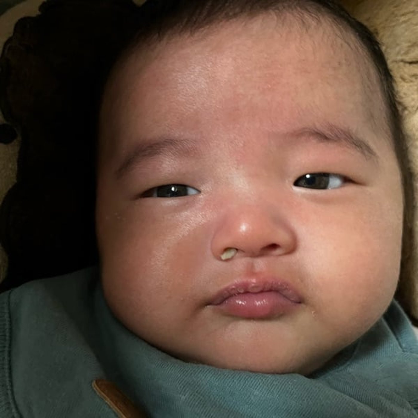 住んでない地域のことをとやかくいうのはやめとこ、の話