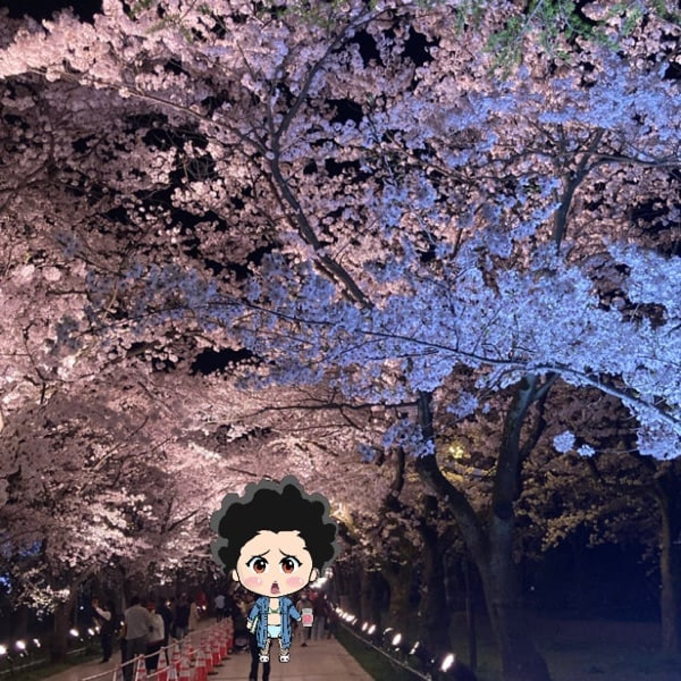 夜桜へ🌸🌙 episode artwork