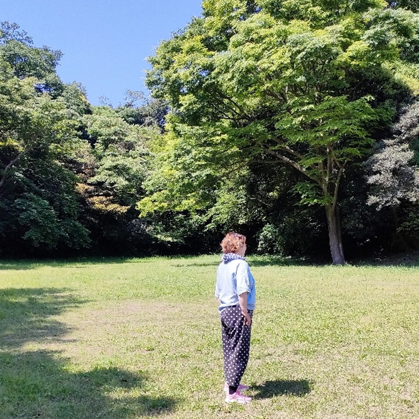 #536 40代からやるべきことやってきたこと episode artwork