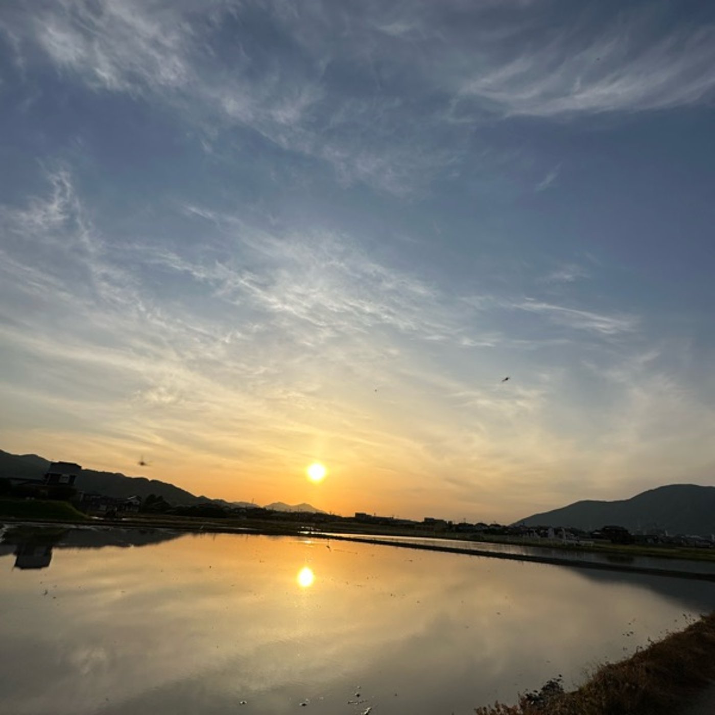 調和されていく性