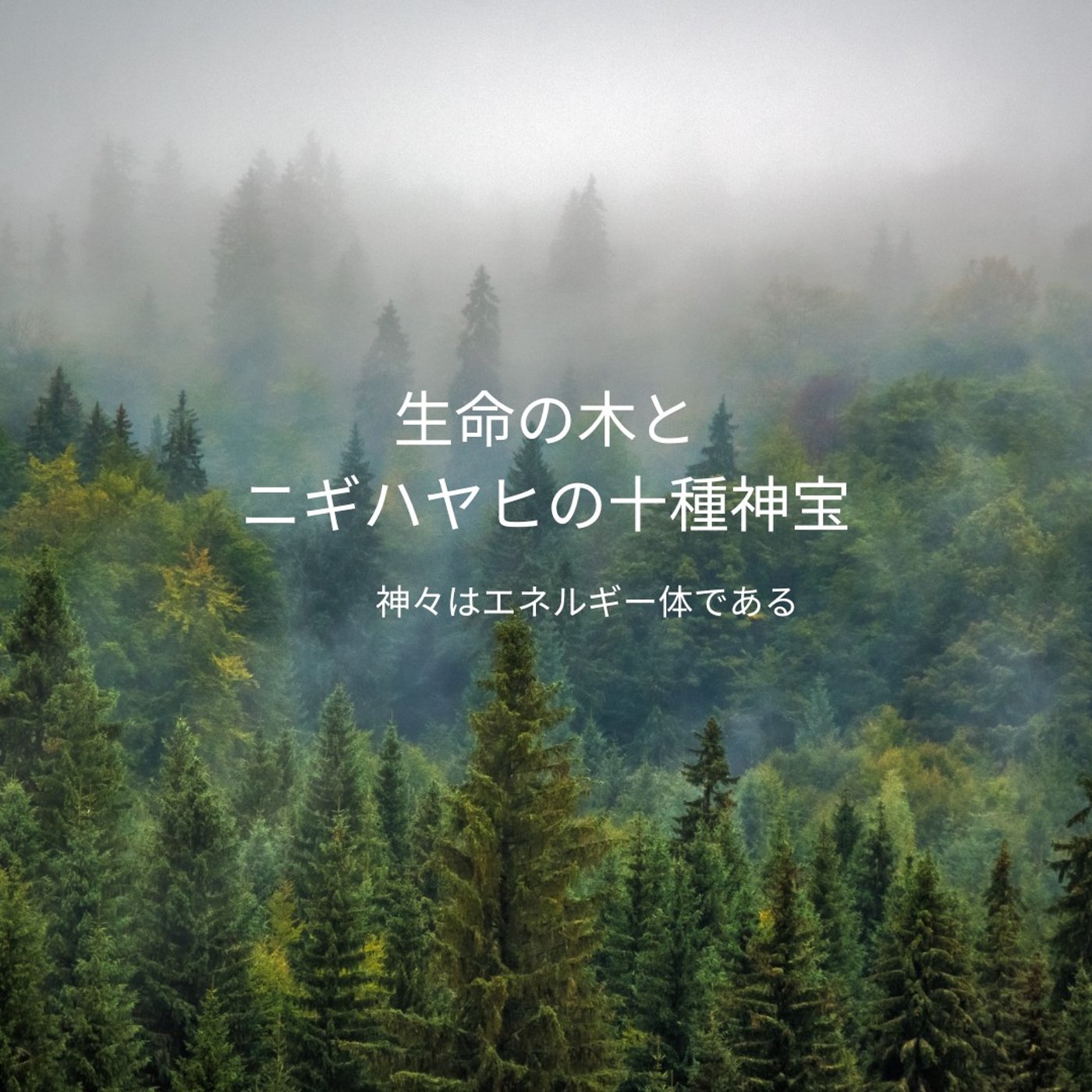 生命の木とニギハヤヒの十種神宝～生命の木のルーツは日本！？ episode artwork
