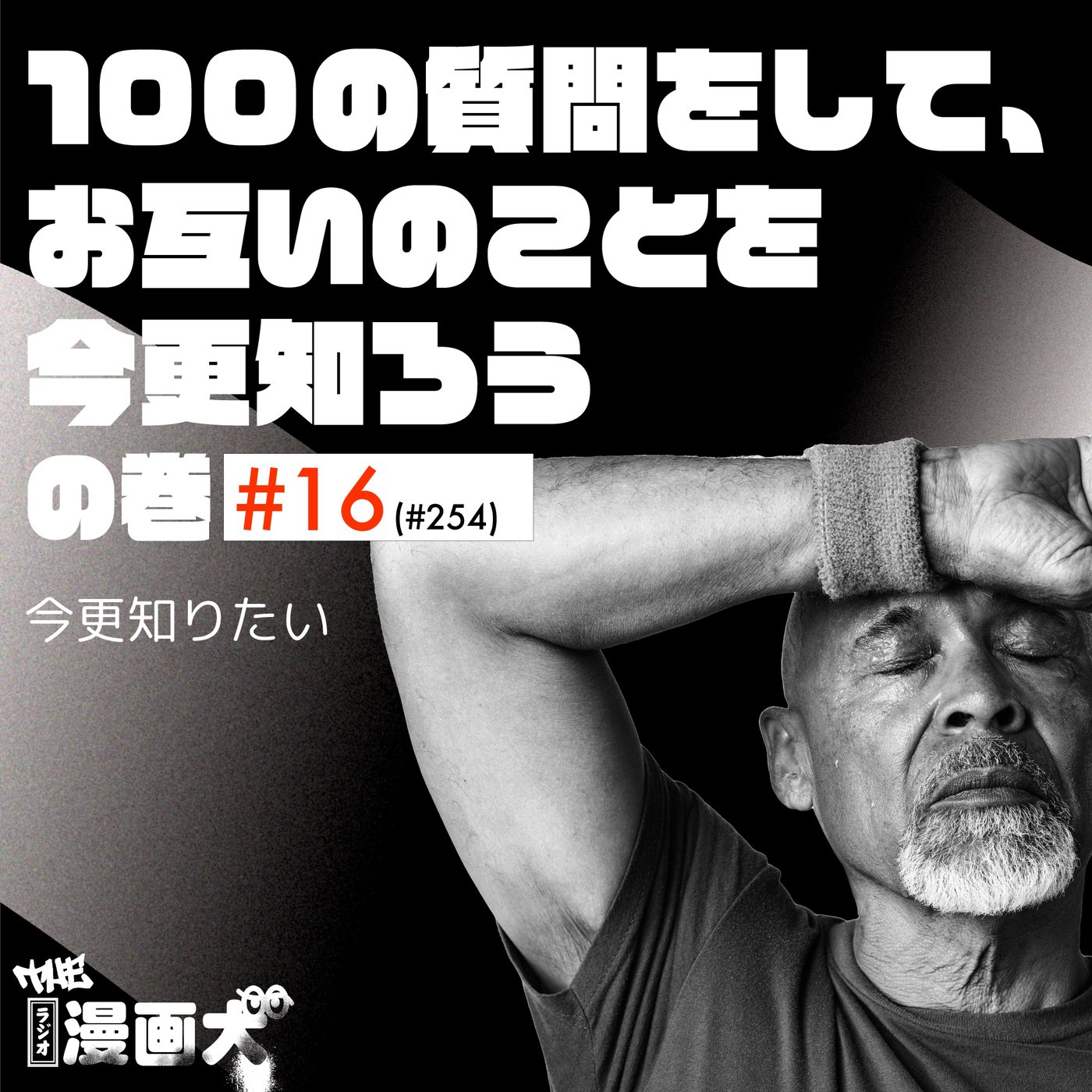 017 100の質問をして、お互いのことを今更知ろう episode artwork