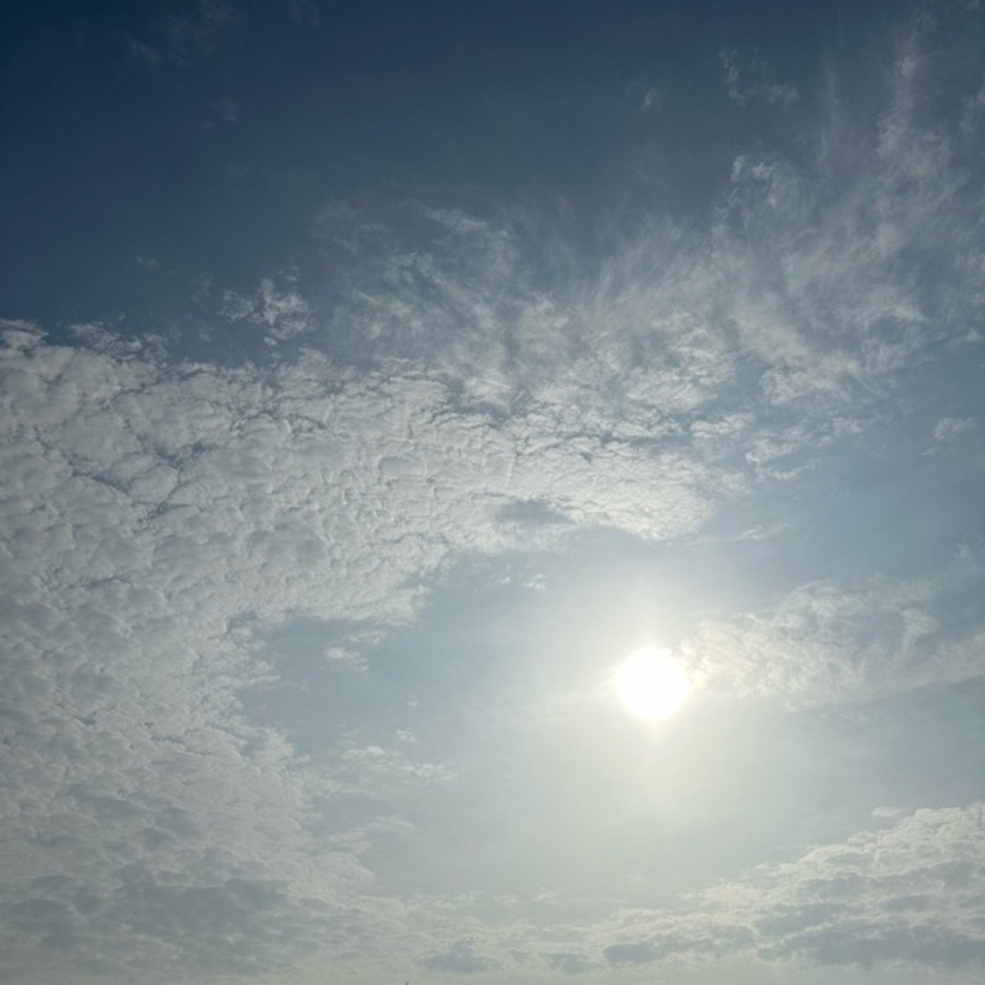 待たずにいこう