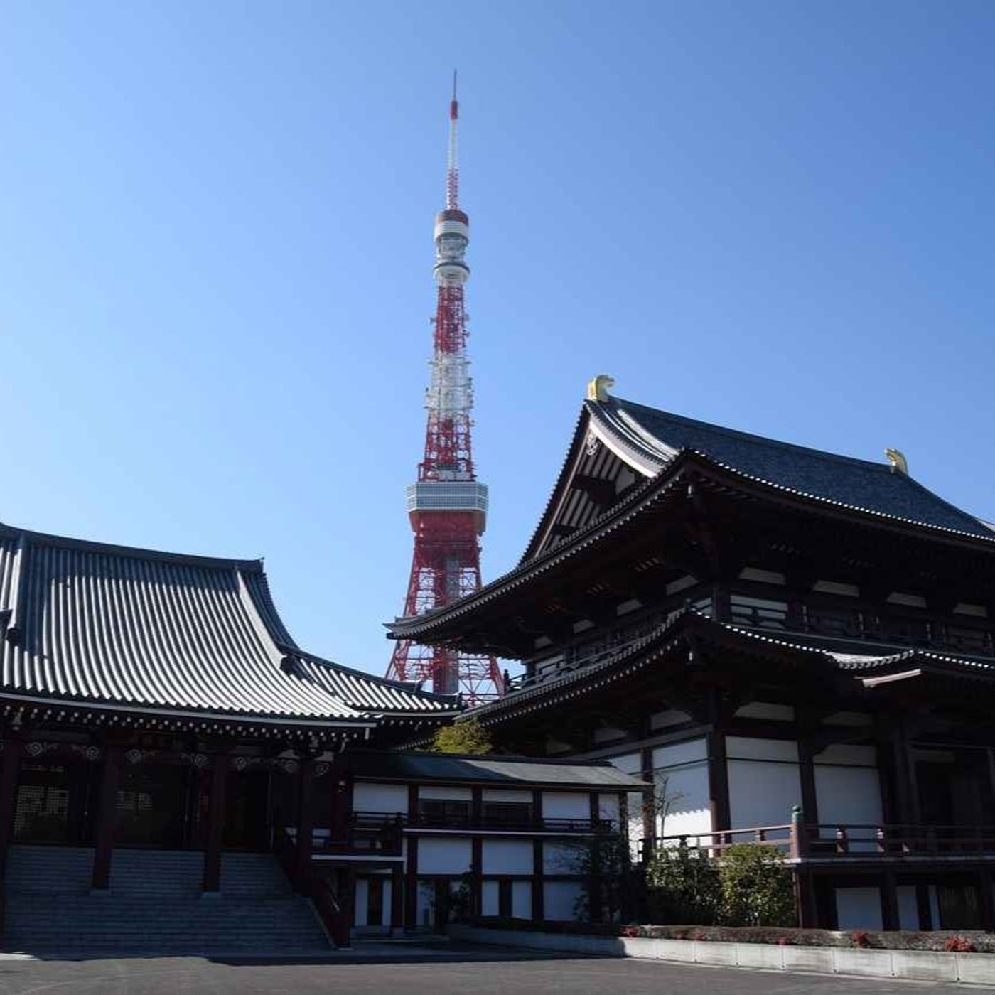 Morning Begins at Zojo-ji Temple episode artwork