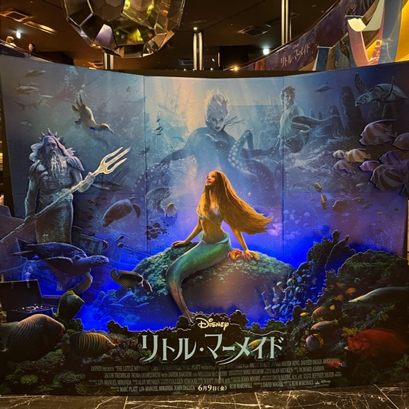 【ネタバレあり】実写版リトルマーメイドについてとりあえず話しましょう！！