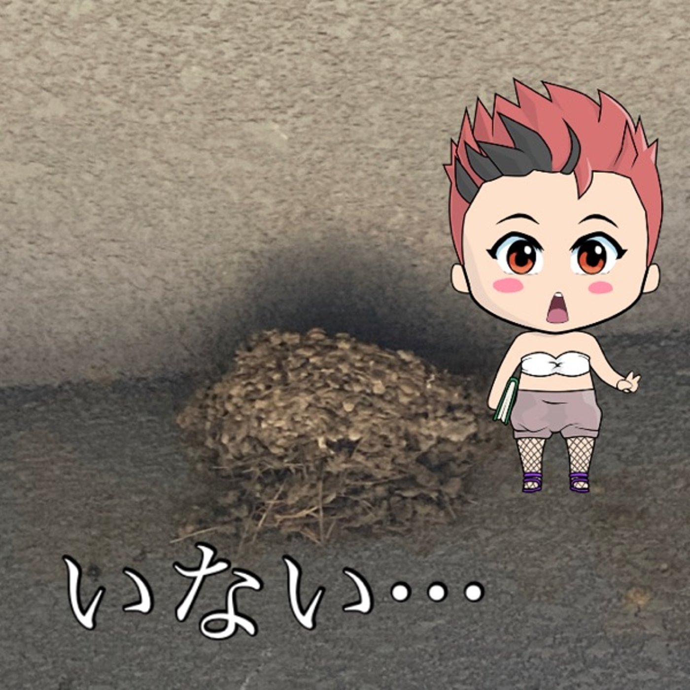巣立ちがはえーよ🪺 episode artwork