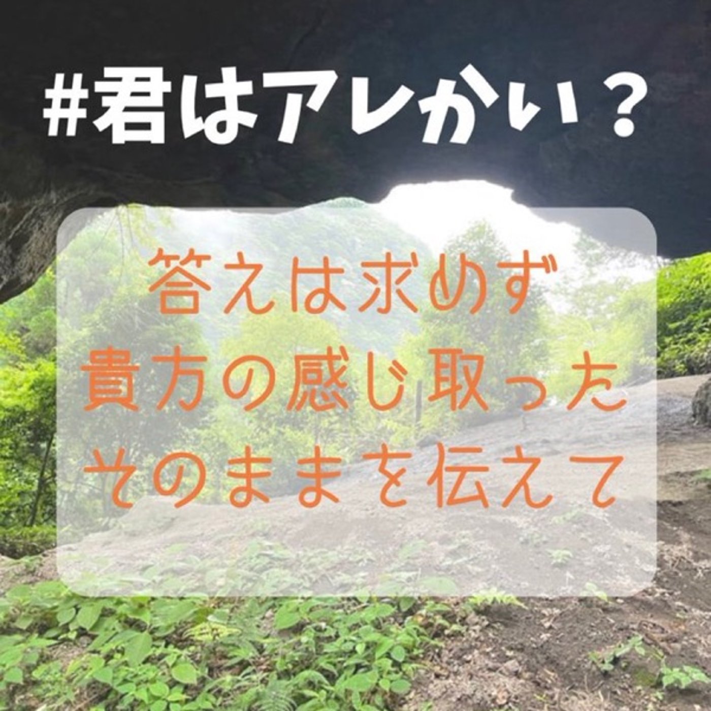#君はアレかい？🤕KS21" episode artwork