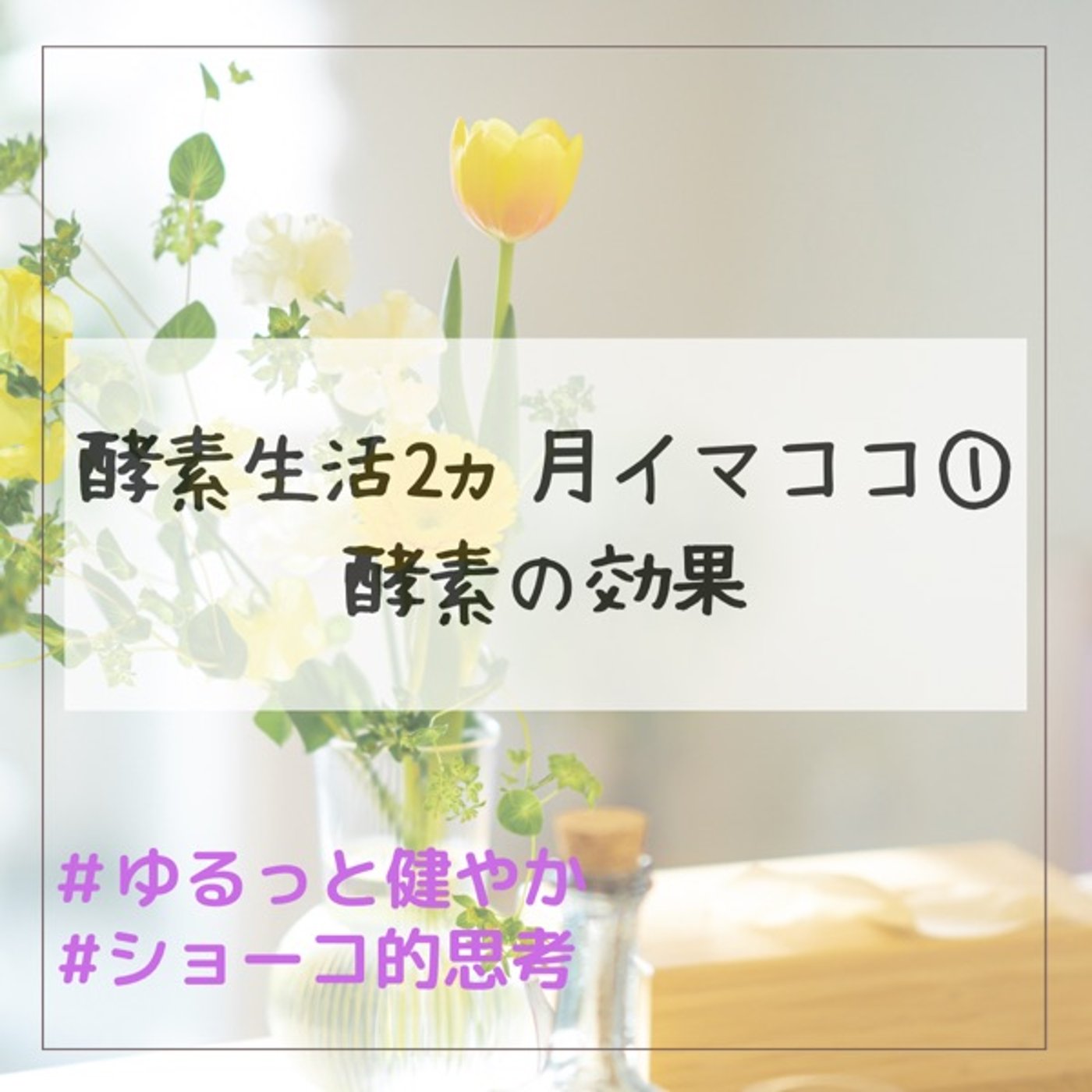 酵素生活2ヶ月←イマココ① 酵素の効果について episode artwork