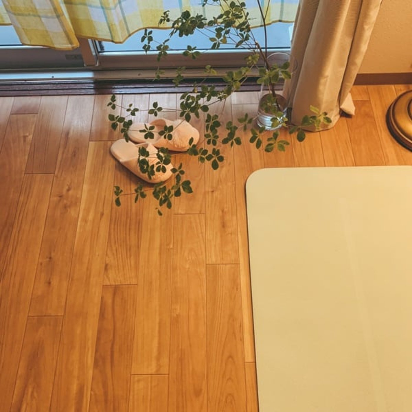 7/5☀︎ 5:30起きの今日🪽朝yogaから始まる幸せ✳︎エスプレッソの話☕ episode artwork