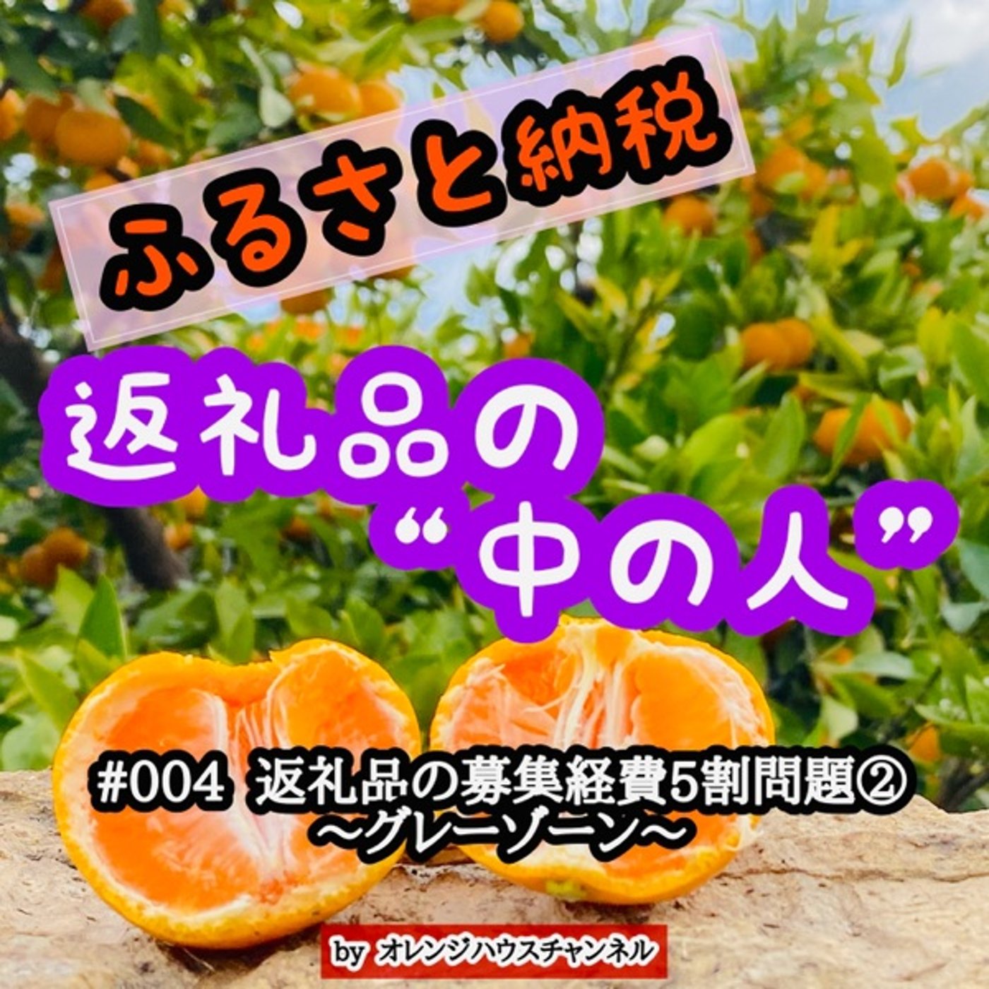 #004 返礼品の募集経費5割問題②〜グレーゾーン〜 episode artwork