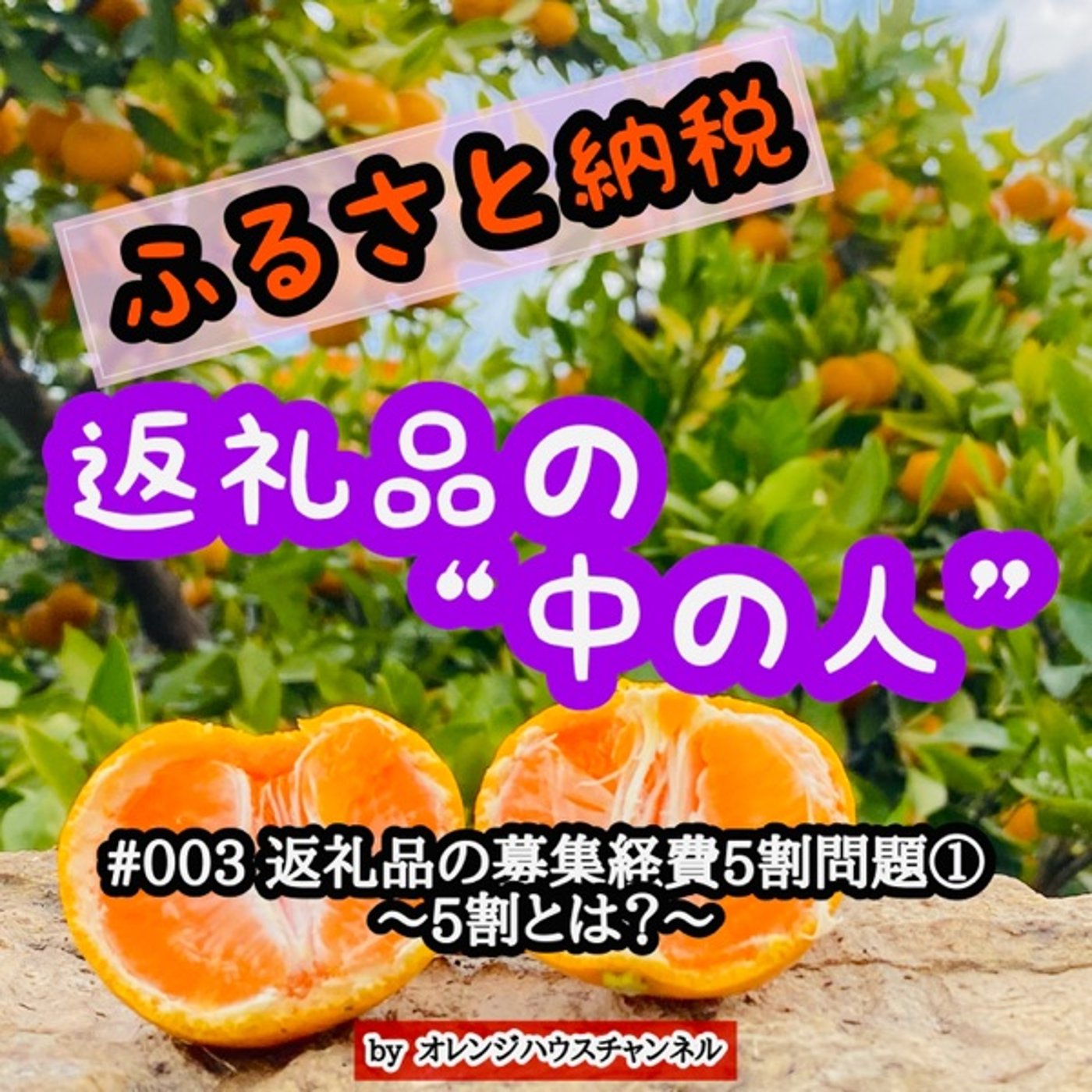 #003 返礼品の募集経費5割問題①〜5割とは？ episode artwork