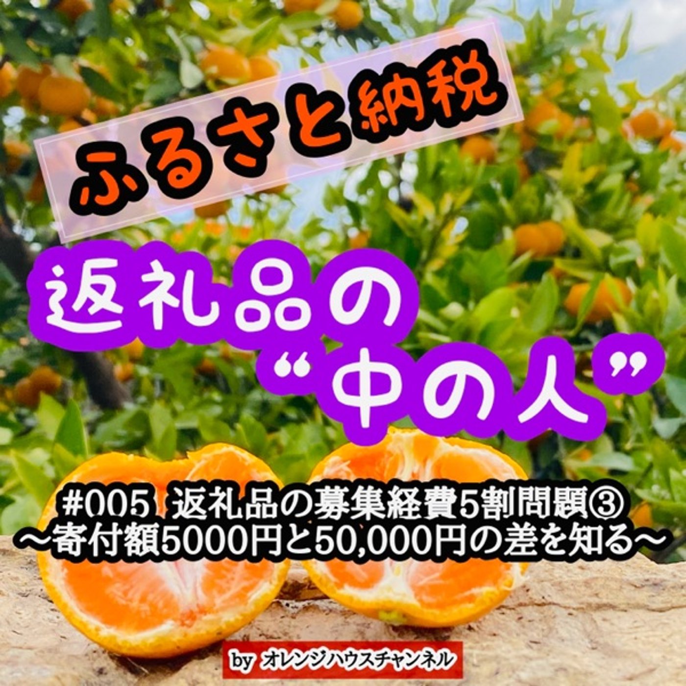 #005 返礼品の募集経費5割問題③〜寄付額5000円と50,000円の差を知る episode artwork