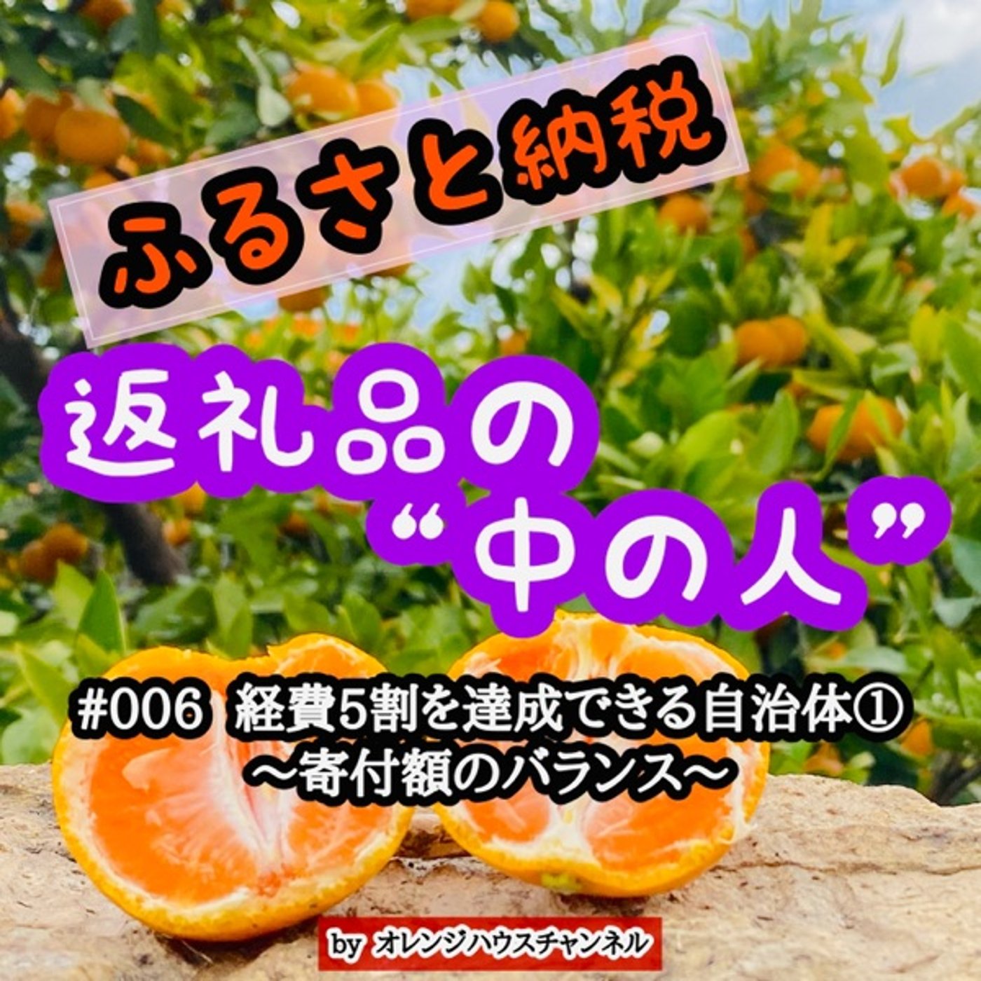 #006 経費5割ルールを達成できる自治体①〜寄付額のバランス〜 episode artwork