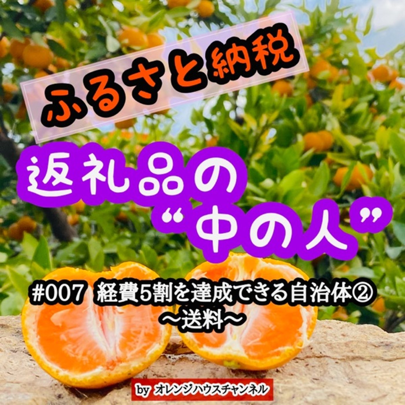 #007 経費5割ルールを達成できる自治体②〜送料〜 episode artwork