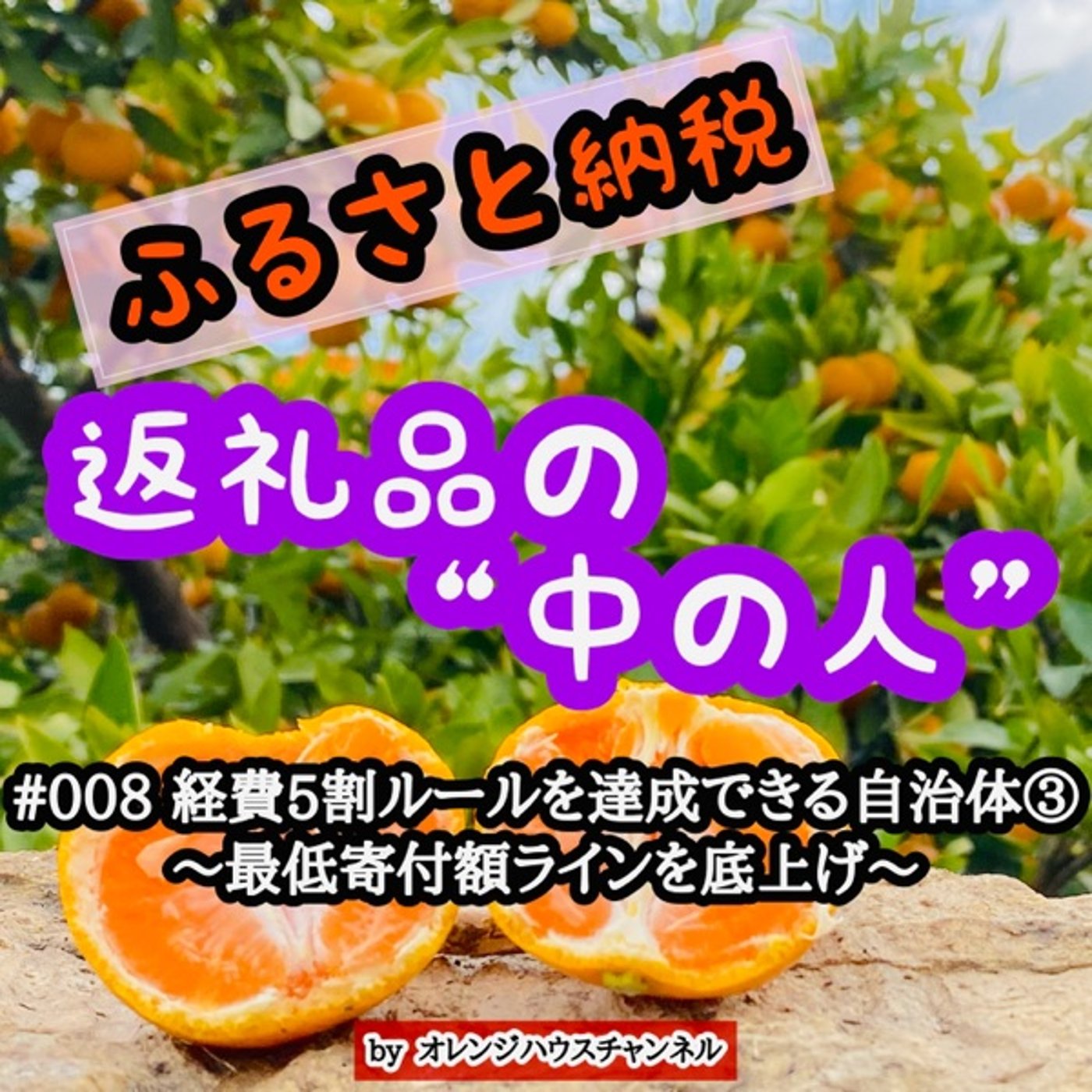 #008 経費5割ルールを達成できる自治体③〜最低寄付額ラインを底上げ〜 episode artwork