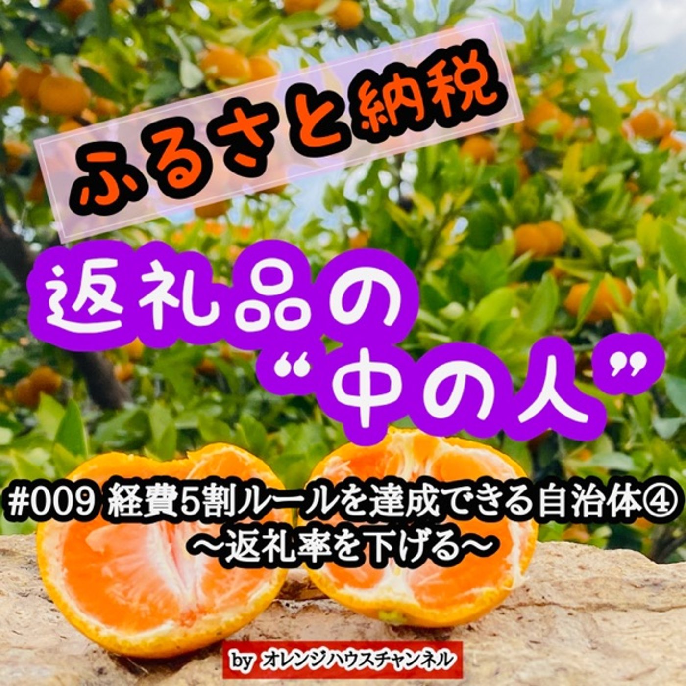 #009 経費5割ルールを達成できる自治体④〜返礼率を下げる〜 episode artwork