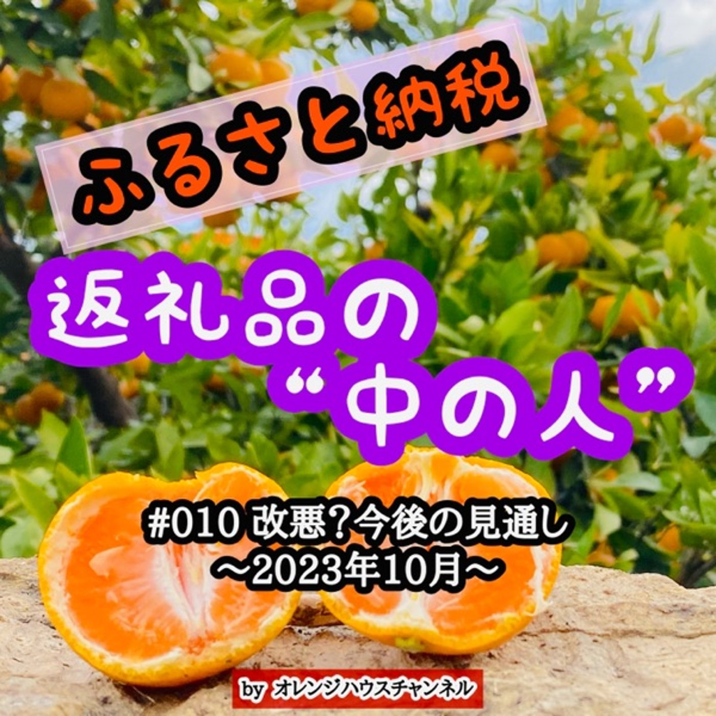 #010 ふるさと納税改悪？今後の見通し2023年10月〜 episode artwork