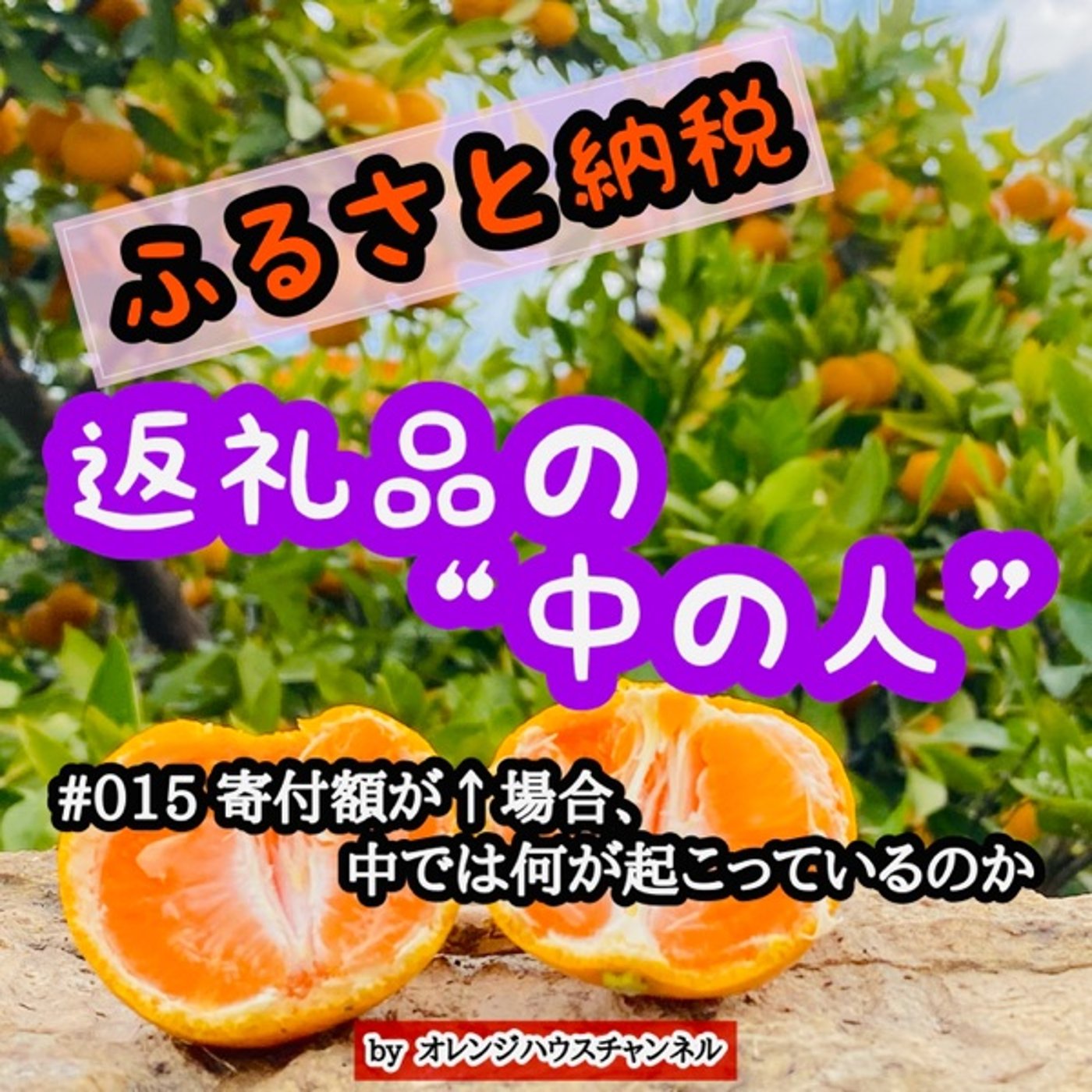 #015 寄付額が↑場合、中では何が起こっているのか episode artwork