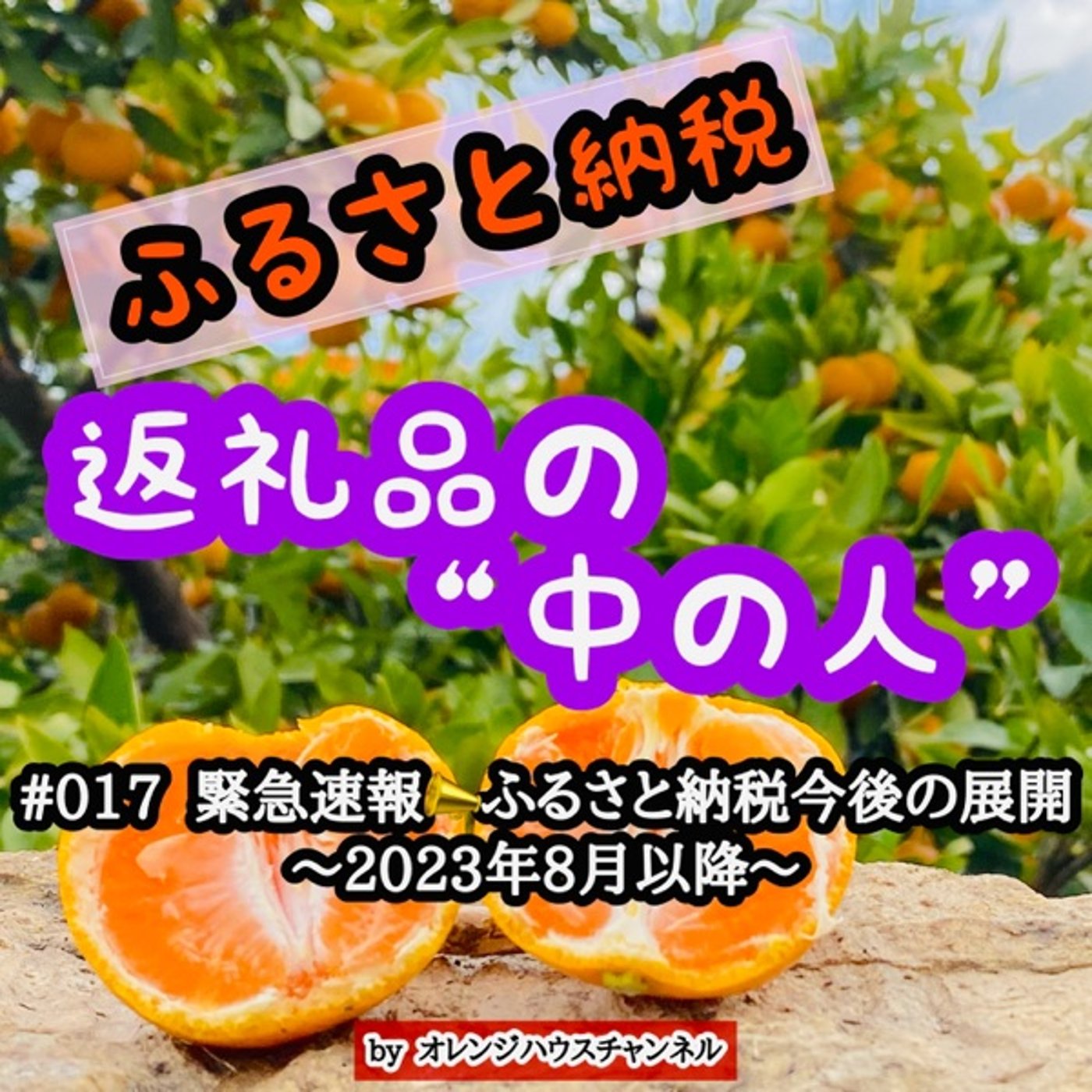 #017 緊急速報📣ふるさと納税今後の展開〜2023年8月以降〜 episode artwork