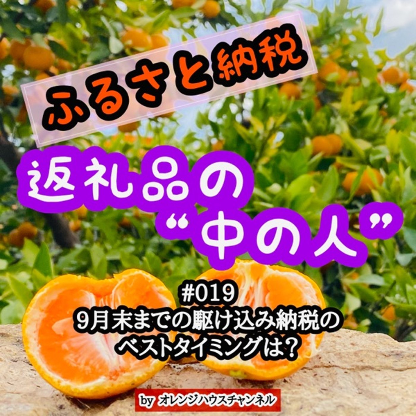 #019 9月末までの駆け込み納税のベストタイミングは？ episode artwork