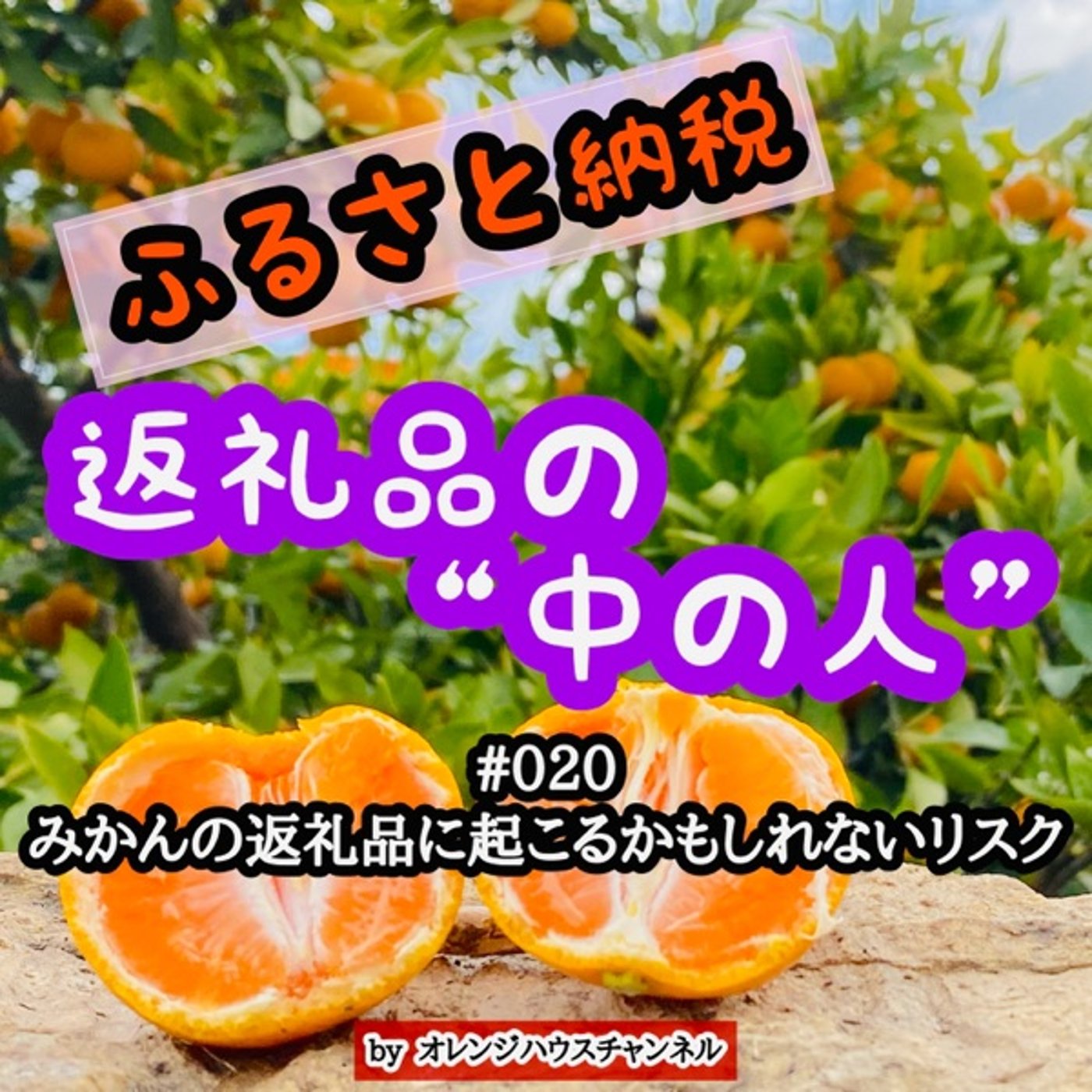 #020 みかんの返礼品に起こるかもしれないリスク episode artwork