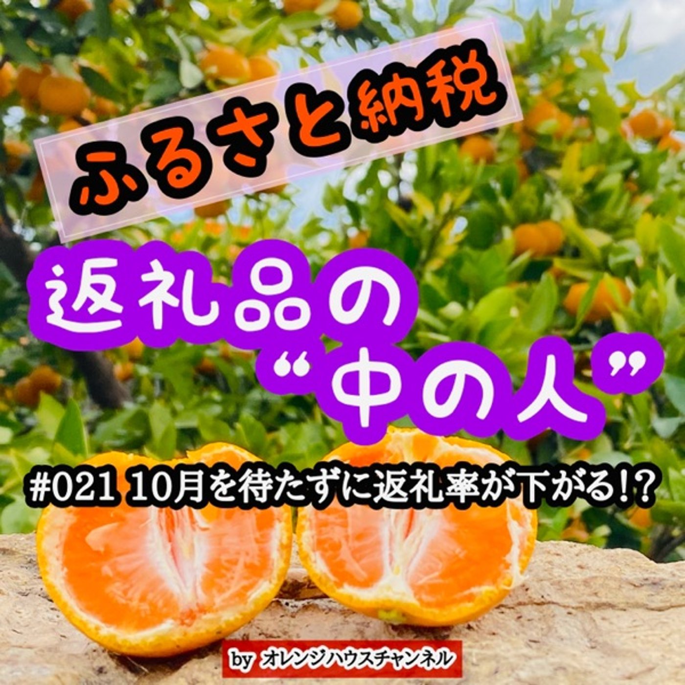 #021 10月を待たずに返礼率が下がる！？ episode artwork
