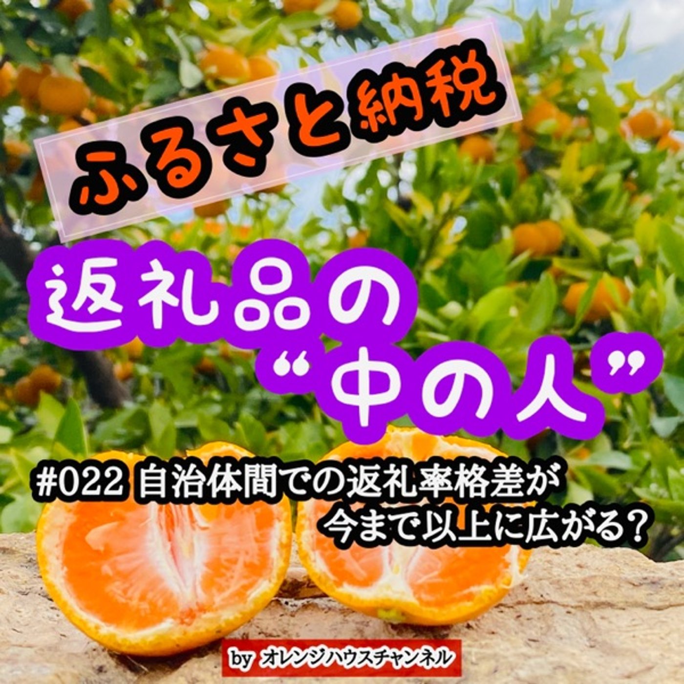 #022 自治体間での返礼率格差が今まで以上に広がる！？ episode artwork
