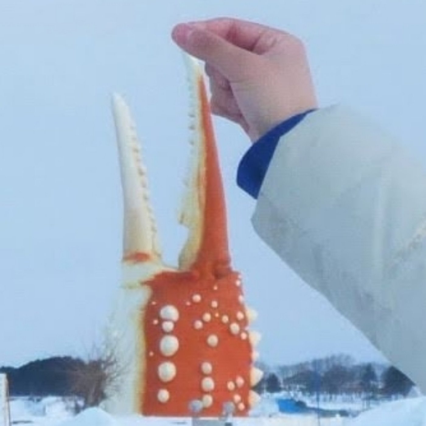 「エビフライに逮捕状が、その罪状とは？」