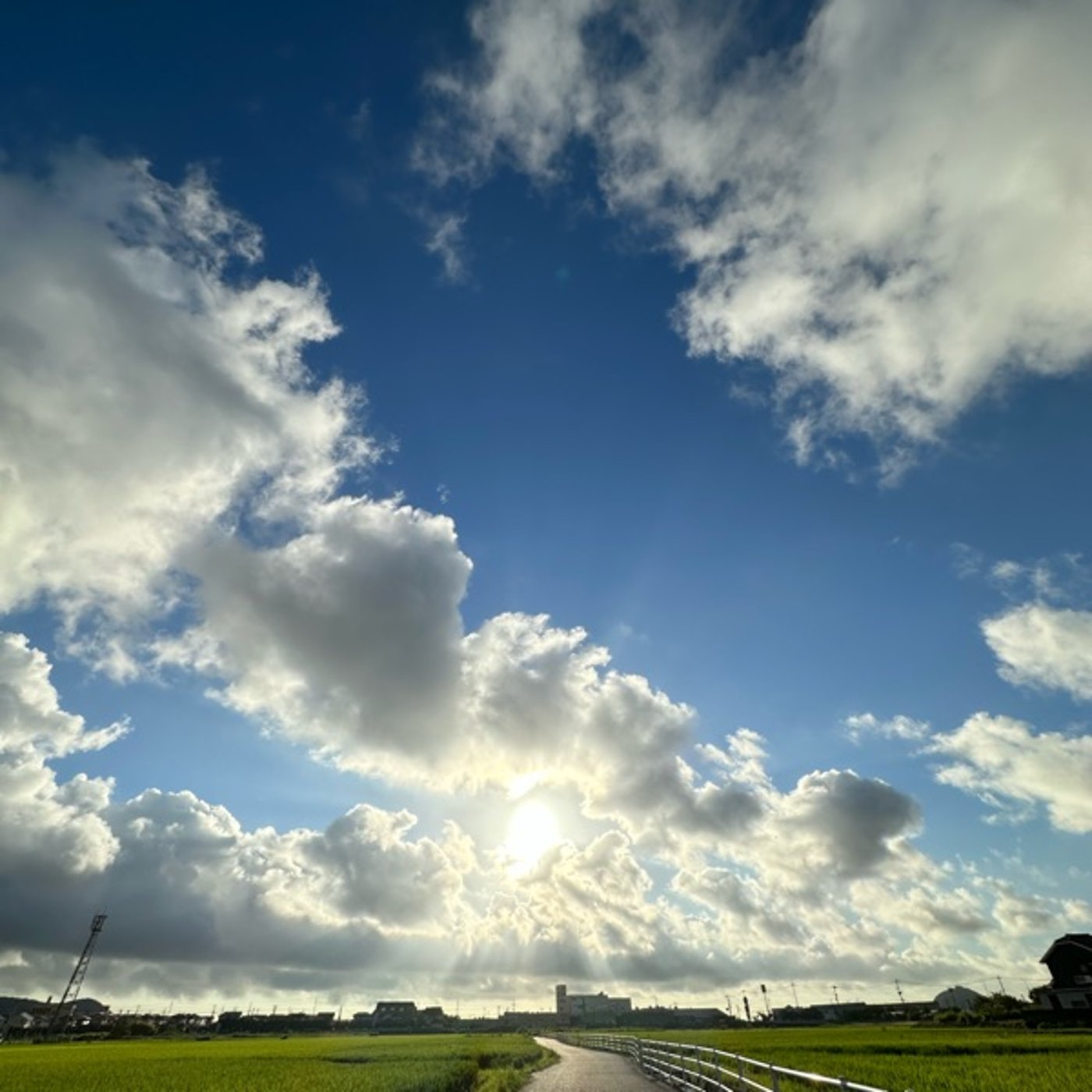 ライオンズゲートってあるの？