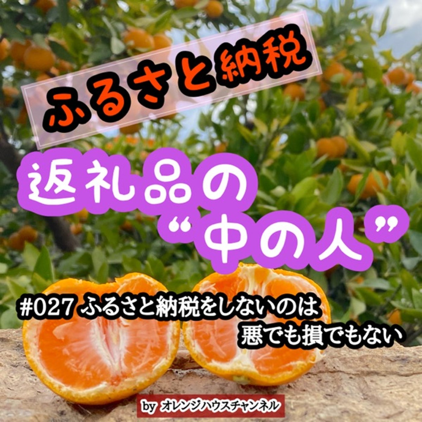 #027 ふるさと納税をしないのは悪でも損でもない episode artwork