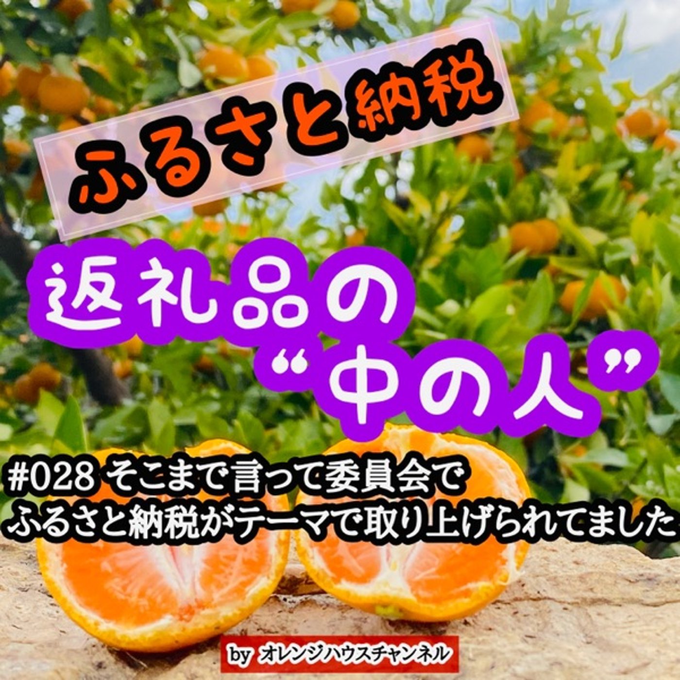 #028 そこまで言って委員会でふるさと納税がテーマで取り上げられてました episode artwork
