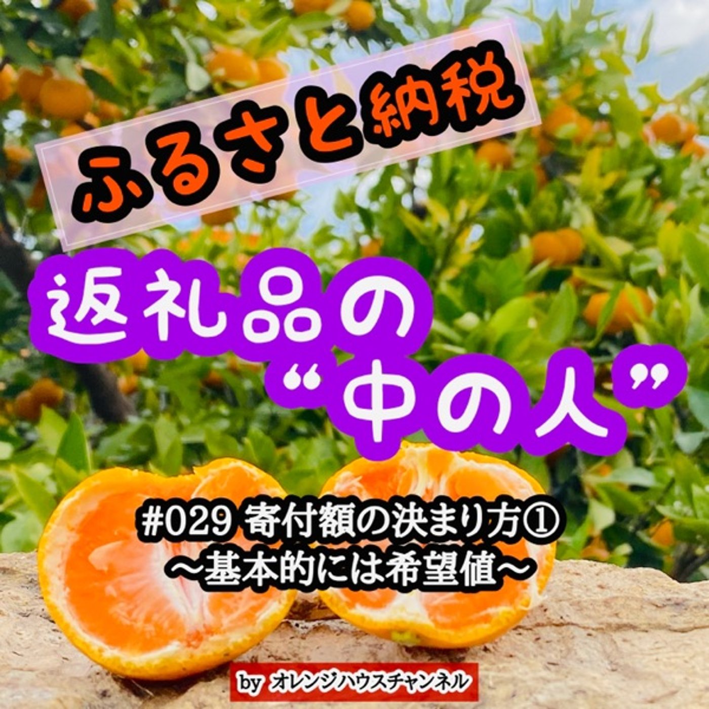 #029 寄付額の決まり方①〜基本的には希望値〜 episode artwork