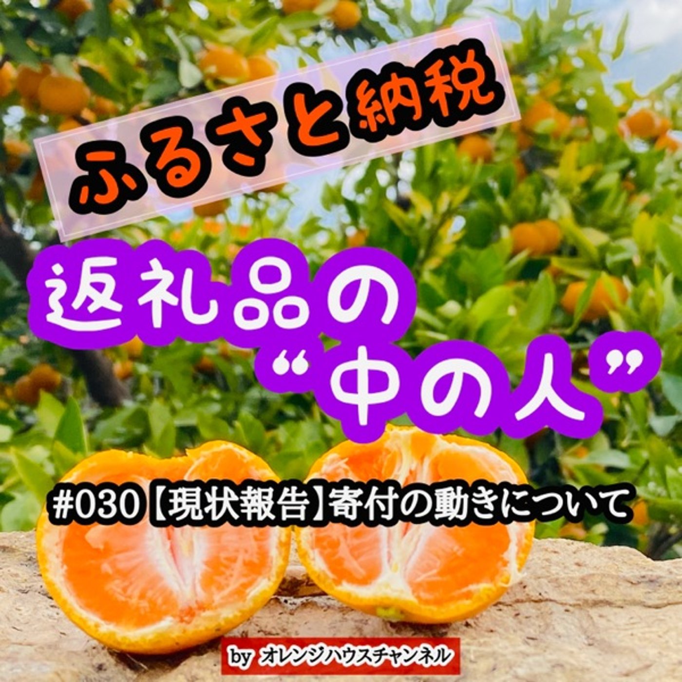 #030 【現状報告】寄付の動きについて episode artwork