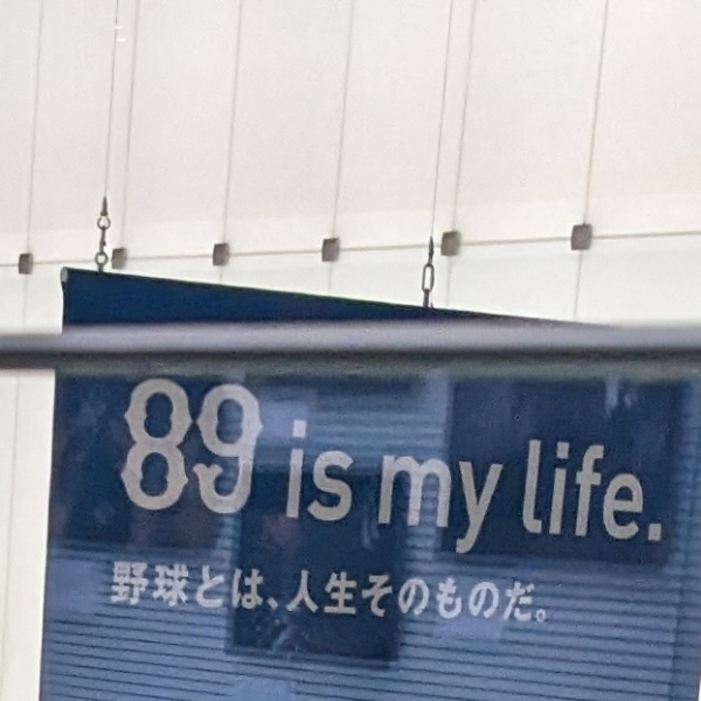 「消費税が１００パーセント。一体何があった？」