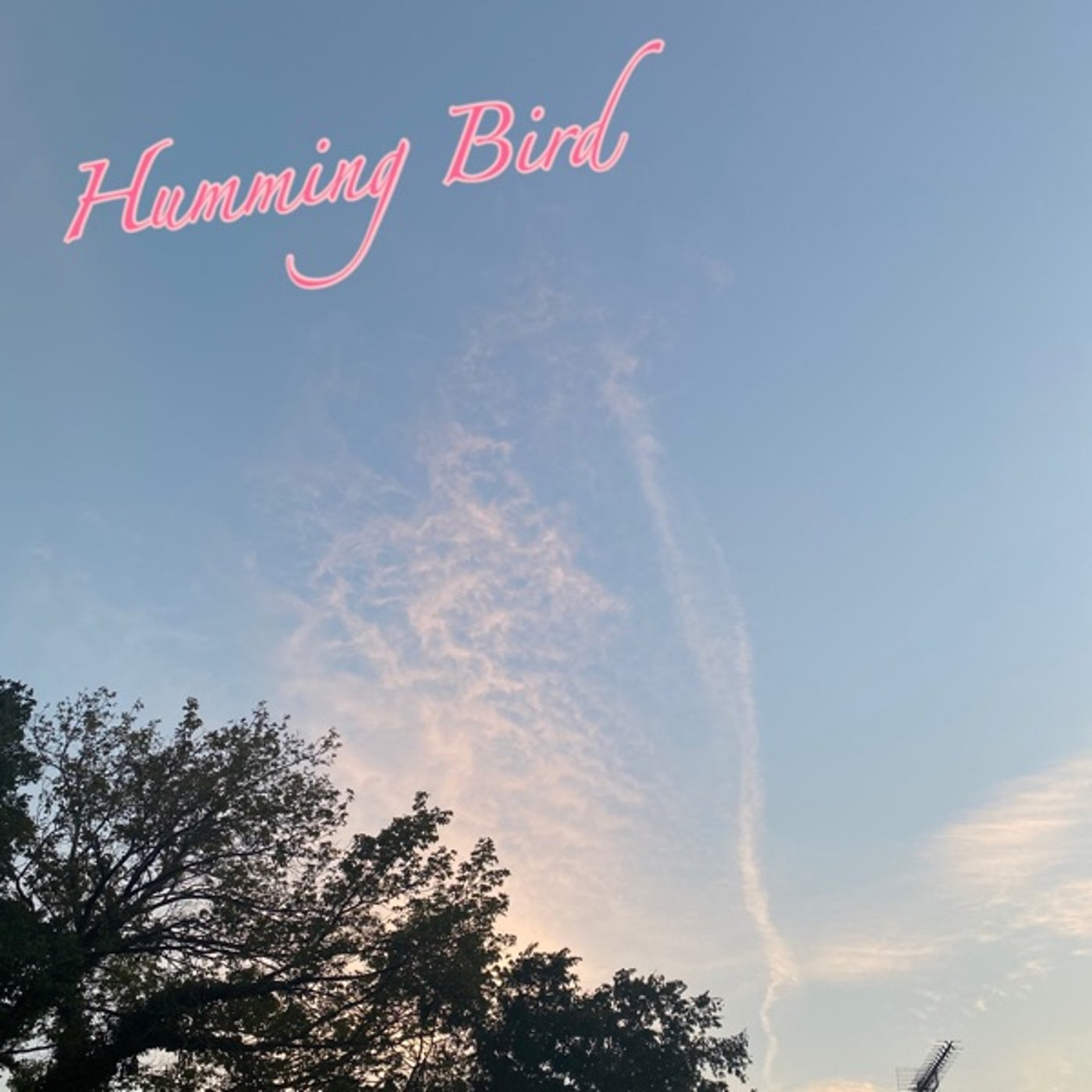 🕊️Humming Bird🕊️#78 episode artwork