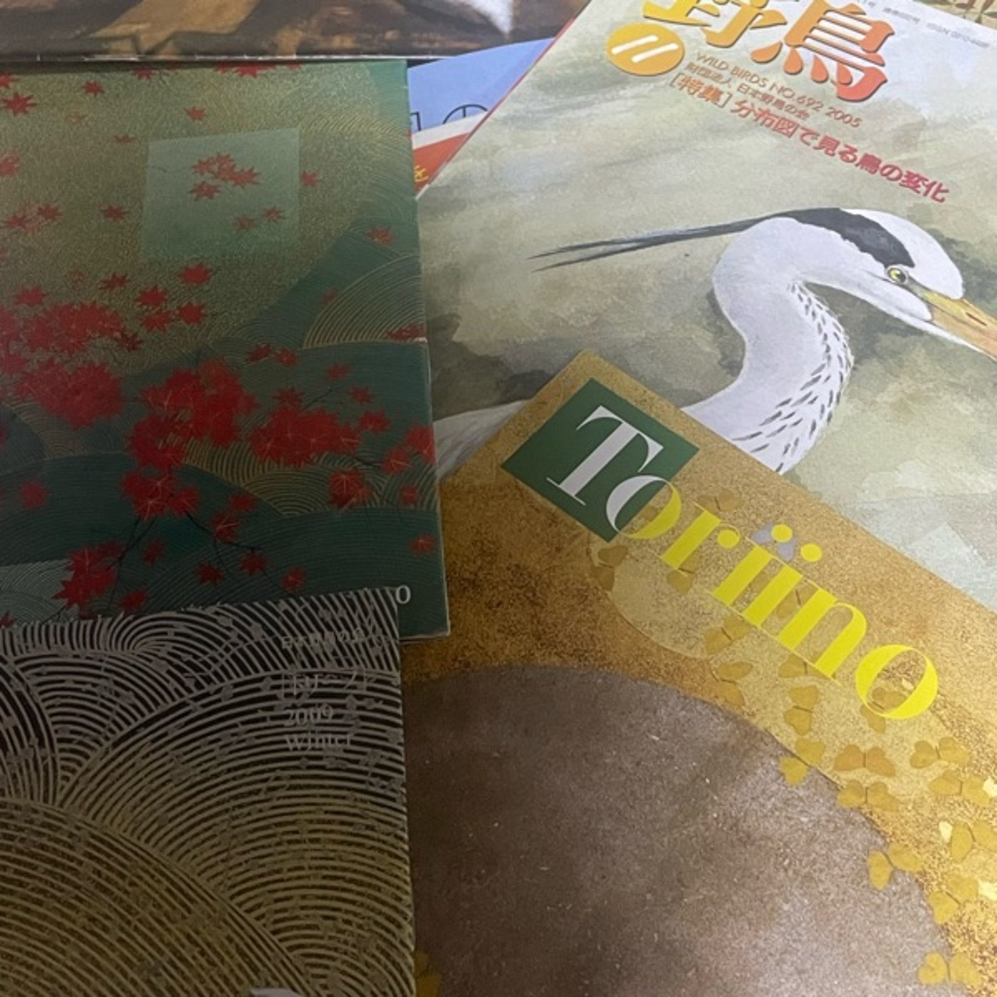 トリーノ無料野鳥の雑誌今はなし。 episode artwork