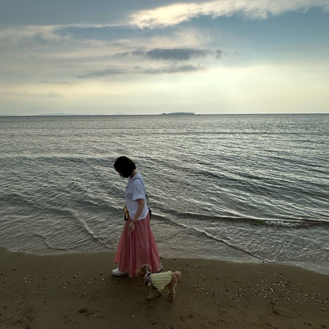 色がもつエネルギー