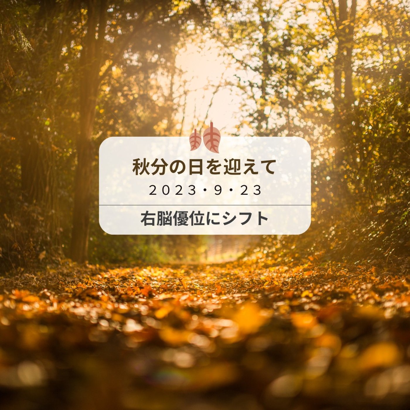 秋分の日のメッセージ～右脳優位にシフトする episode artwork