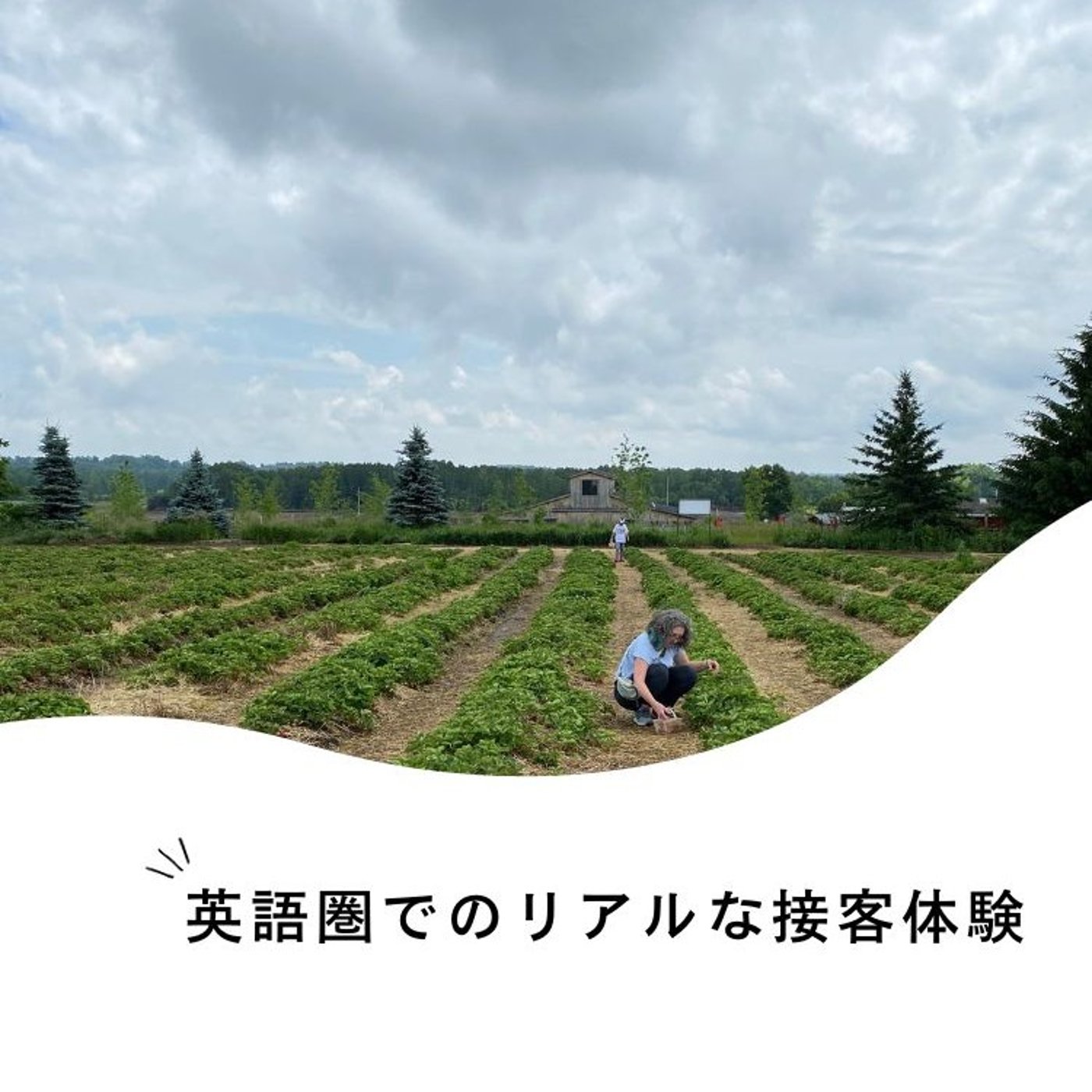 英語圏でのリアルな接客体験 episode artwork