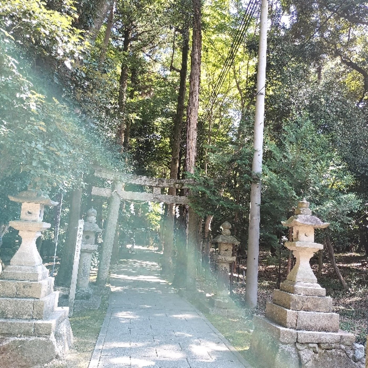 星読み信仰発祥の地とされる星田妙見宮へ参拝(今回の写真は撮影しました😅) episode artwork