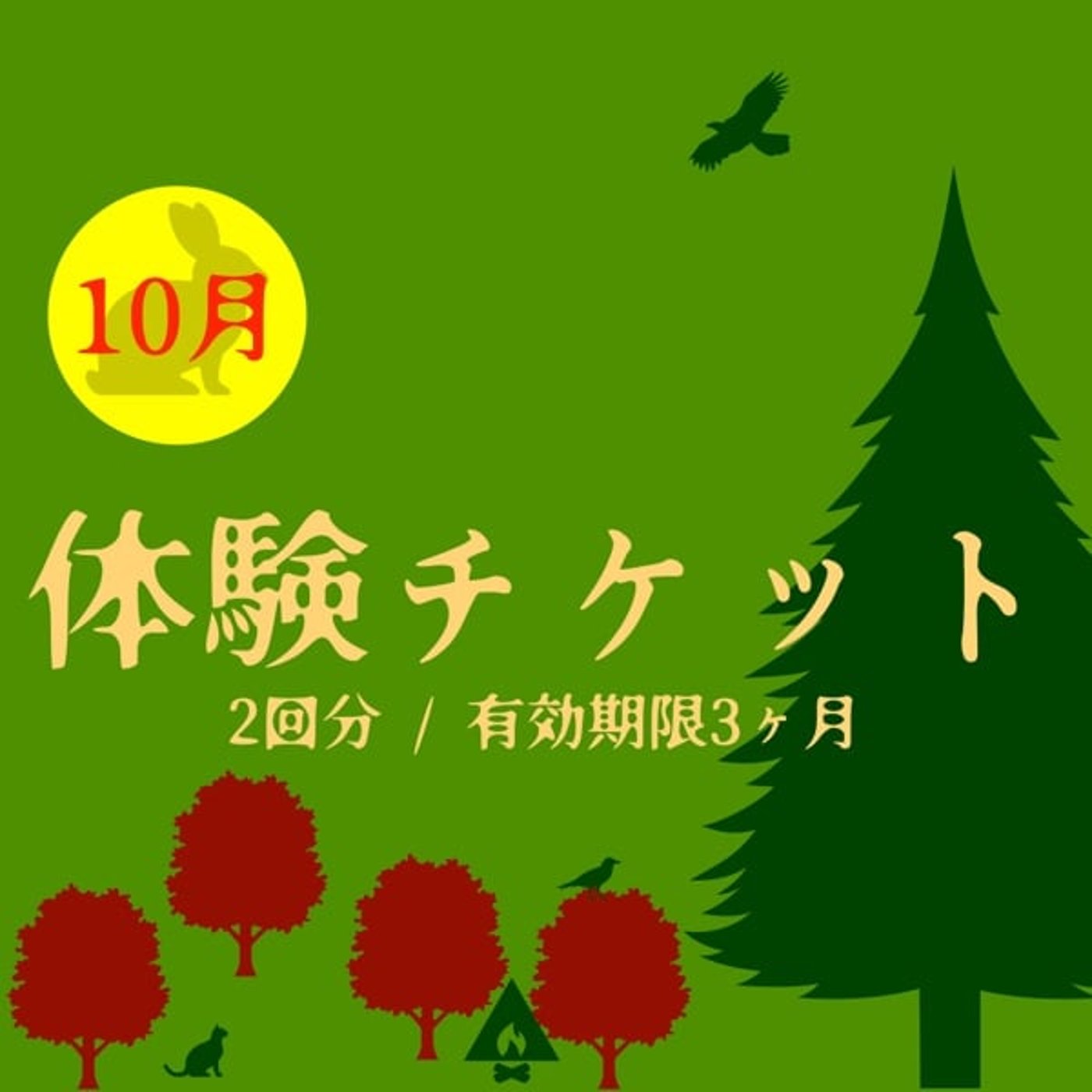#0473 瞑想「軟酥の法」とサウナで「ととのう」