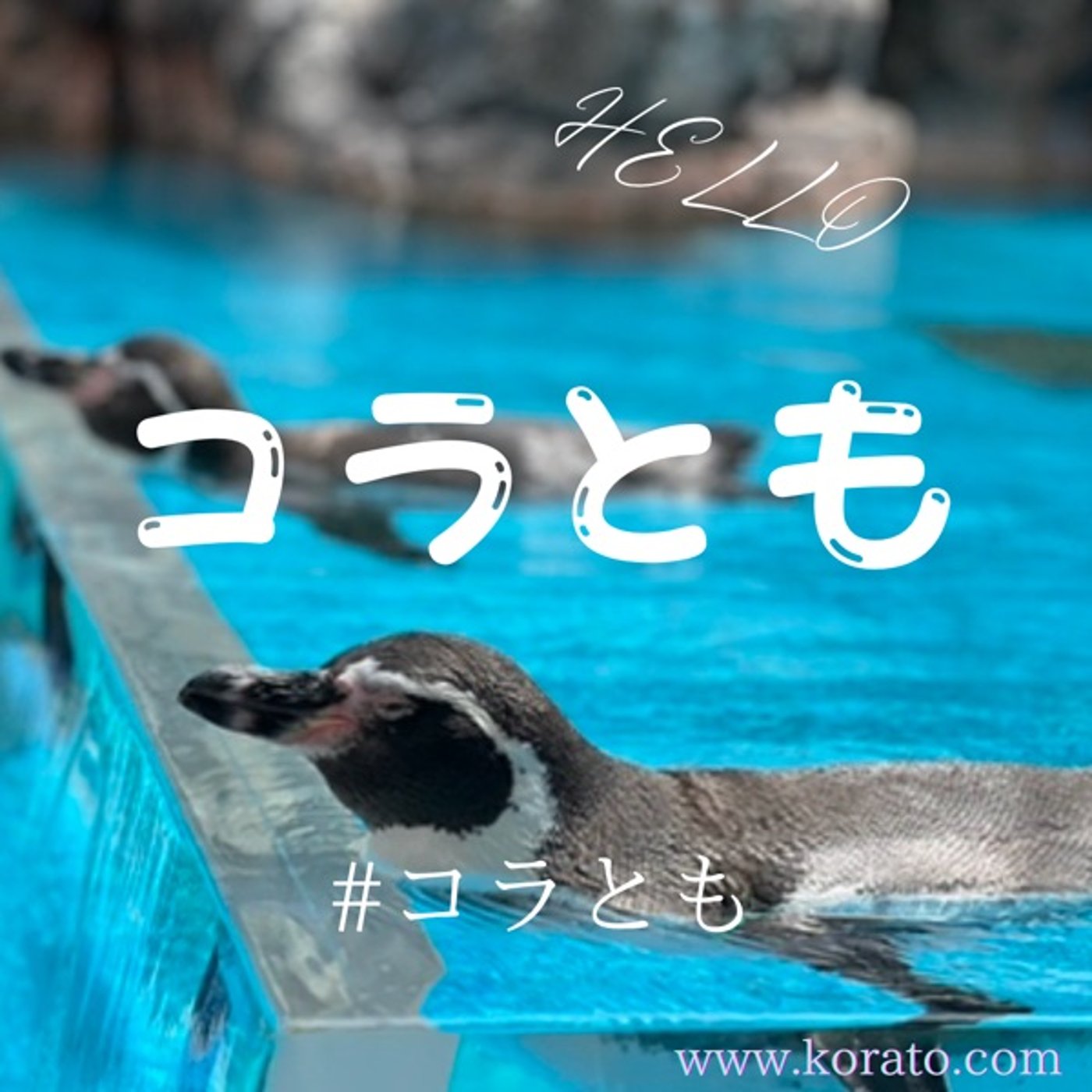 【コラとも】コラボ友達seaso11・・・#5 episode artwork