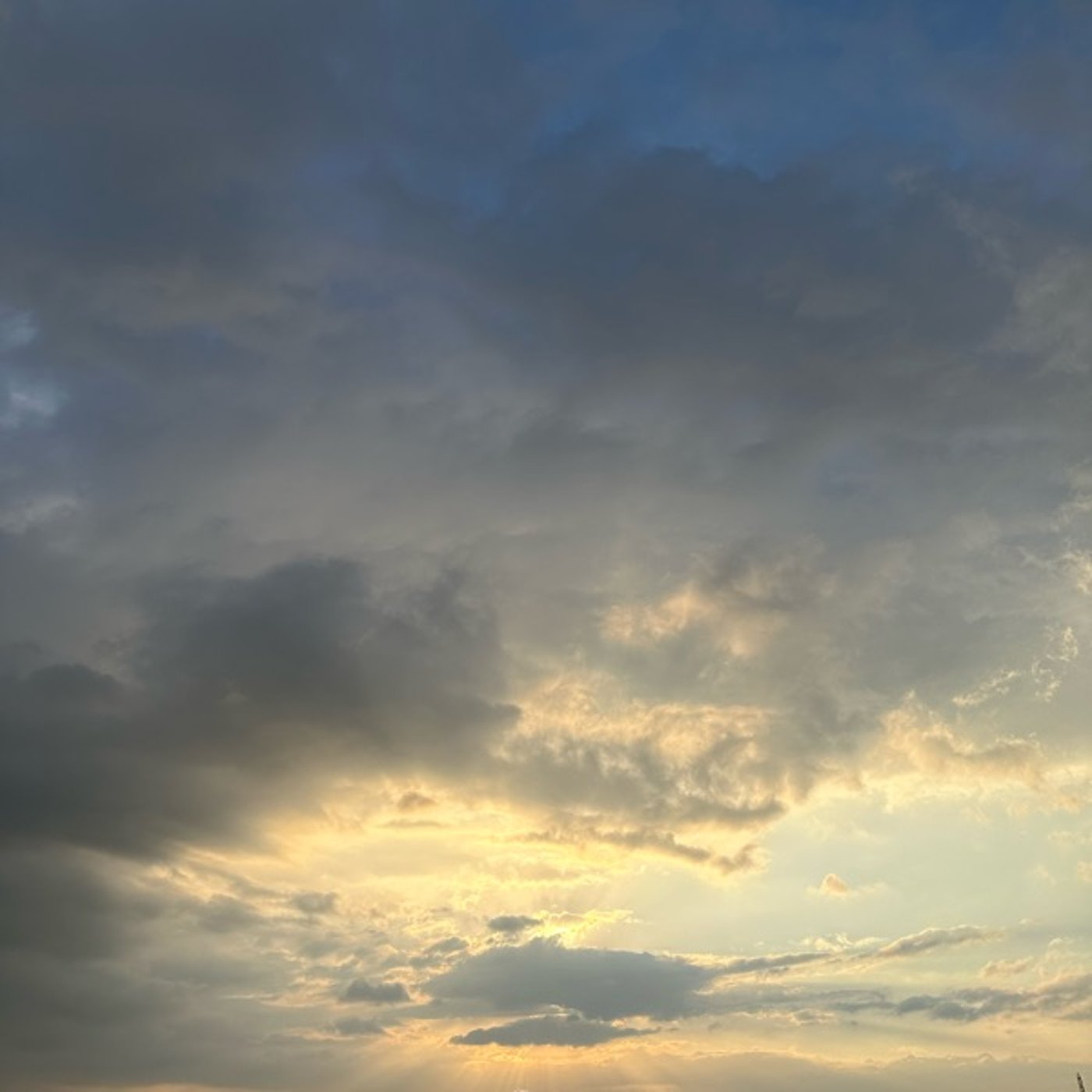 カラダの声をきく