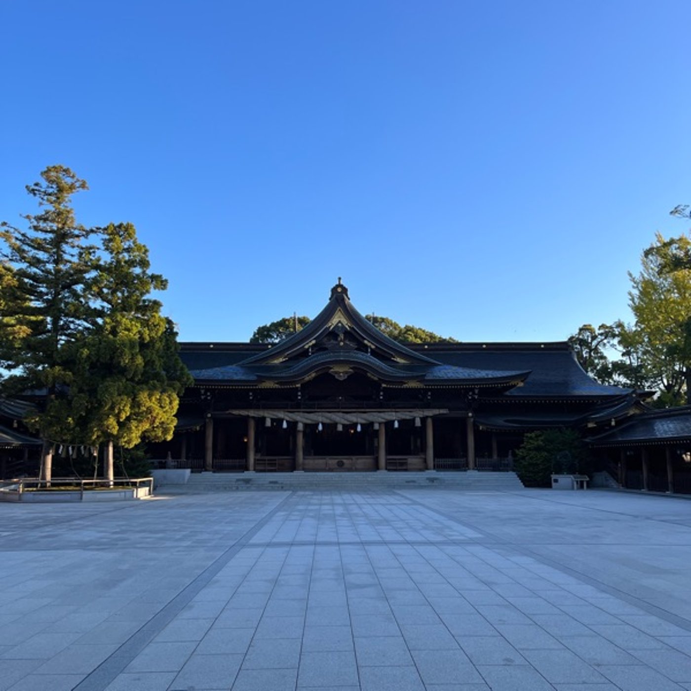 #0487 朝日の寒川神社参拝で心をリセット