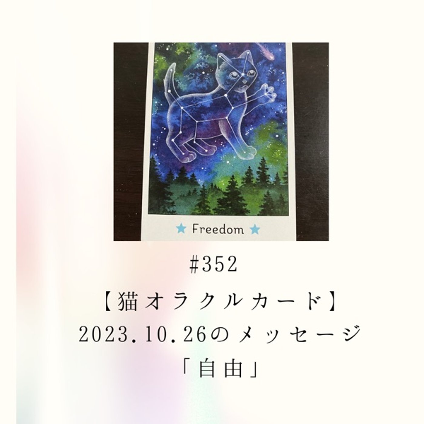 #352【猫オラクルカード】2023.10.26のメッセージ「自由」