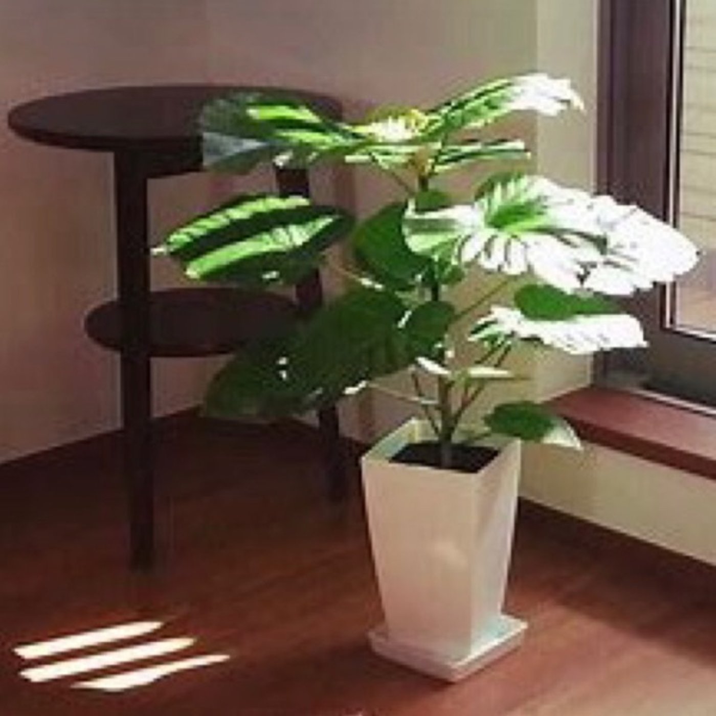 #801【学び】人生初、観葉植物の植え替えからの反省点 episode artwork